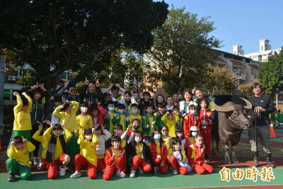 12歲公水牛「拉拉」進校園  台中新平國小學童餵食觸摸超驚喜