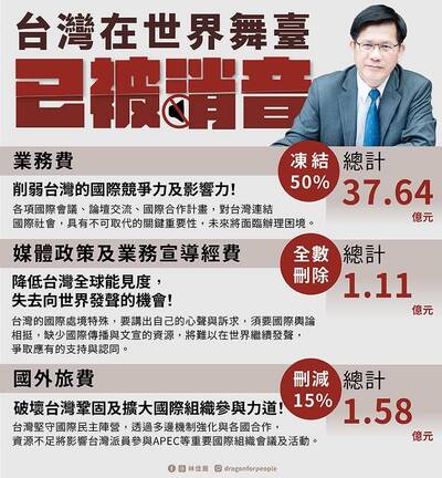 外交部預算遭刪減凍結 林佳龍嘆：台灣在世界舞台被消音