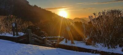 除夕休園不要白跑！太平山今晨雪停 金黃陽光灑落雪地不勝收