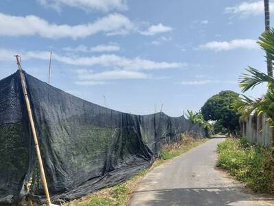 寒流來襲3日後溫差逾10度 農作如洗3溫暖更傷
