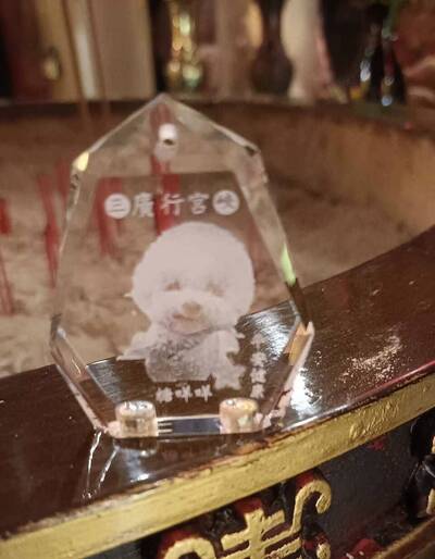 祈求毛孩平安 新北5廟宇幫寵物點燈