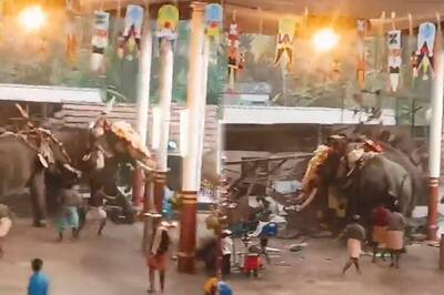 煙火嚇到2大象狂撞人群 印度廟會3死30傷