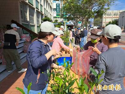 2000株蛇莓、月橘、含笑花、野牡丹原生苗木 3/6用發票可換