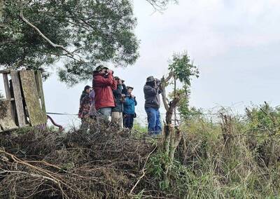 「賞鳥博覽會在台灣」9月登場 執行委員中台灣看場地、大讚多種鳥類