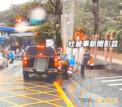 《TAIPEI TIMES》 Pit bull bites motorcyclist, 11 days after similar attack