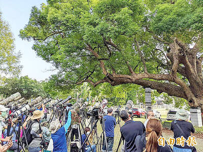 《TAIPEI TIMES》 Taichung to host first World Bird Fair: agency