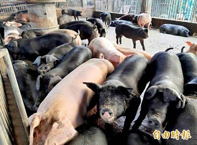 《TAIPEI TIMES》Taiwan likely to be certified CSF-free in May