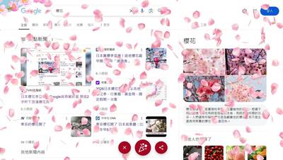 日本賞櫻季登場！Google搜尋「這些關鍵字」 一鍵飄落唯美櫻花雨