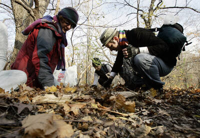 通膨、關稅衝擊！紐約市民搶當「野人」 走進公園採集食材