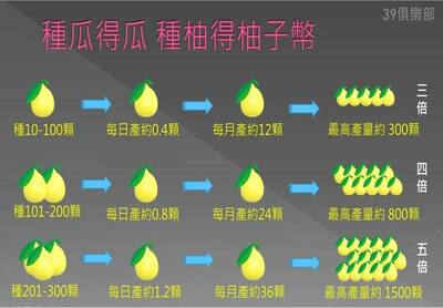 「伊甸平台」詐騙投資APP誆2100人吸金4000萬    扶輪社前社長收押