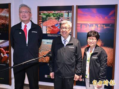 代表台灣出席新教宗就職 陳建仁:盼良十四世訪台