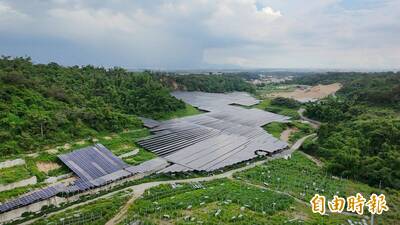 黑壓壓太陽能板吃掉山林！大樹光電場震撼直擊 一邊種鳳梨一邊種電