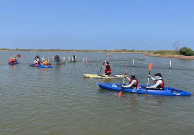 七股潟湖獨木舟體驗 台江國家公園明起開放網路報名