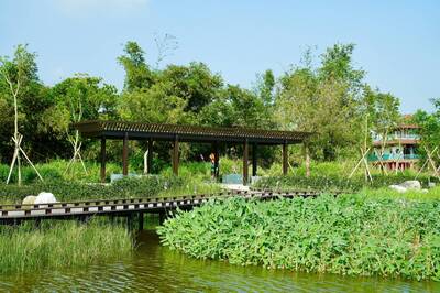 高雄鄰近市區賞螢新秘境觀音湖 獲2025建築園冶獎、國家卓越建設獎