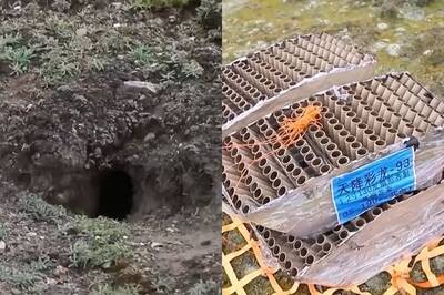 蔡國強煙火秀現場致詞「感謝聰明動物幫助鬧天宮」再炎上