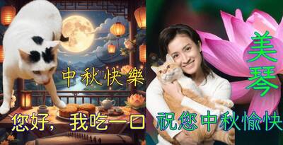 元素超多！蕭美琴與愛貓賀中秋圖「滿滿迷因味」 笑翻2.3萬人