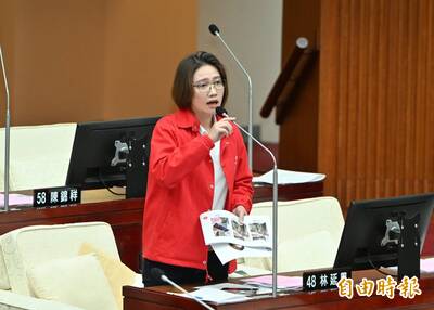 北車性侵案掀怒潮！議員林延鳳轟蔣市府：調資料要等3天！