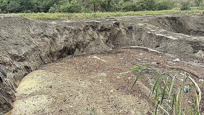台中廚餘露天堆置 文山掩埋場:驅趕野狗、沒見過野豬 台中廚餘露天堆置 文山掩埋場:驅趕野狗、沒見過野豬