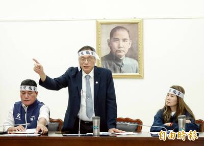 屏東楓港溪居民立院陳抗反風電 環境部：環評委員嚴格把關