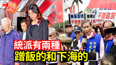 自由觀點》統派有兩種 蹭飯的和下海的