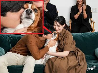 太可愛！MLB宣布大谷翔平愛犬Decoy連續3年獲「最有價值狗狗」