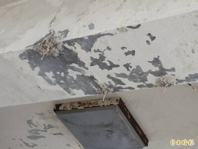 4樓房間3度落下「室內雨」 鄰居漏水糾紛折騰近5年才一審判賠