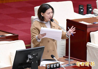 陳玉珍提助理費除罪化  何孟樺：嘴上喊重視勞權 刀刀砍向助理權益