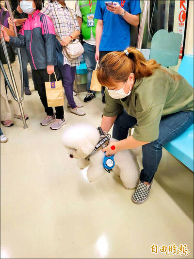 高市府評估「免裝籠、繫牽繩」寵物友善公車