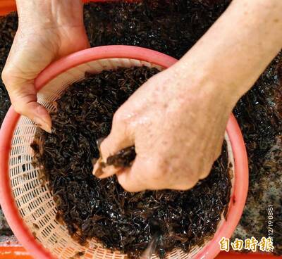 澎湖西嶼紫菜礁二採大豐收 釣客也來湊一腳爽拉原因曝