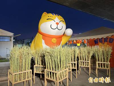 4米高「大阿財」賣萌！屏東NEKO MARKET市集 萬倉街鐵路橋下登場