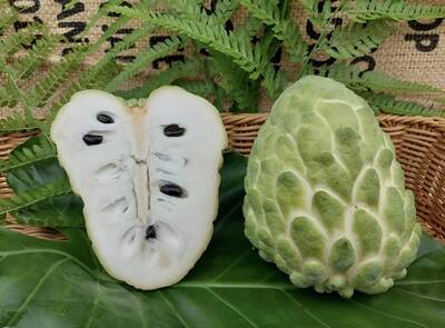 台東鳳梨釋迦農民憂滯銷 林智群：中國20年前挖走台灣品種跟技術