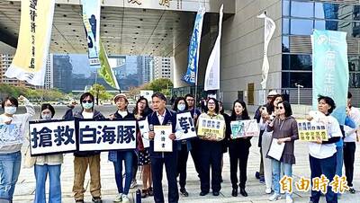 數量只剩下47隻！NGO團體抗議台中港擴建危及白海豚棲地