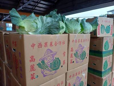 桃園年貨大街雙主場祭消費3重送 消費不限金額送高麗菜