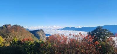 林業署推出「阿里山×高鐵聯票」春節暢遊阿里山、鰲鼓溼地山海風光
