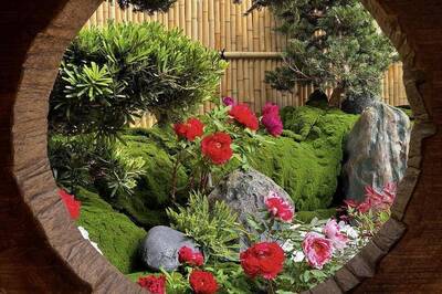 春節慢遊苗栗南部山海線 祈福、採果、賞地景