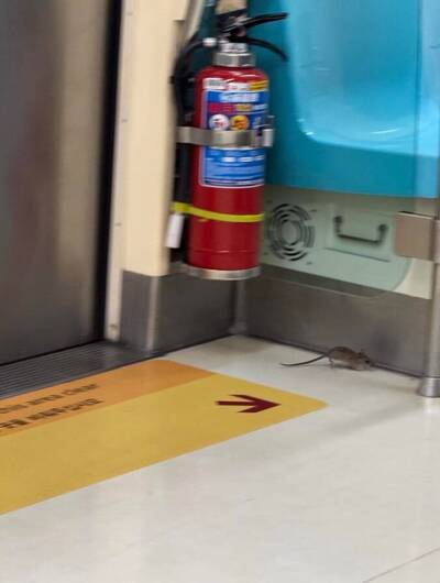 稱老鼠是「旅客背包竄出」 北捷聲明遭網友嗆爆