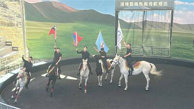 馬年騎馬看馬術秀 過來來清境農場馬上發財、羊羊得意