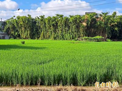 農地沒農用 擴建農舍、鋪水泥當停車場下場慘了