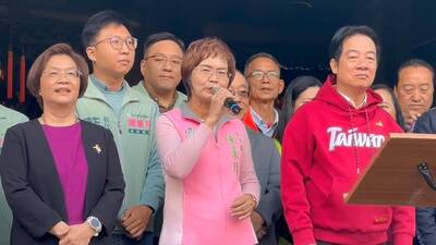 王惠美卸任傳入閣接內政部長？她不回應掀議  綠藍議員說話了