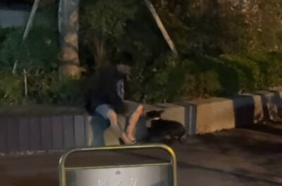 台中男當街虐狗！小黑狗慘遭棒打哀嚎 影片瘋傳引眾怒