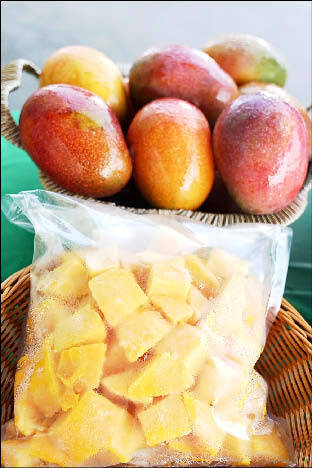 《TAIPEI TIMES》 Tainan eyes long-term mango export to Japan