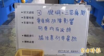 台鐵集電弓受損搶修 16時恢復雙向雙線運轉 延誤旅客1年內可退票
