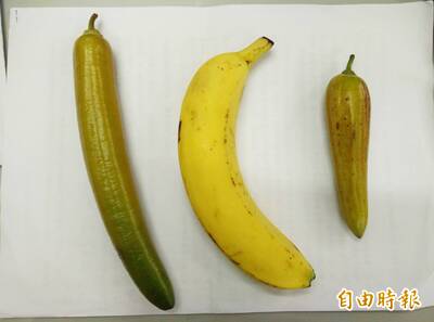還在「短則凸長則順」？ 達人曝1招辨識那話兒大小