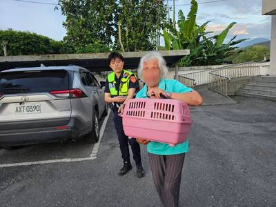 貓主子自行報案？堰塞湖撤離驚魂 走失貓躲警局草叢
