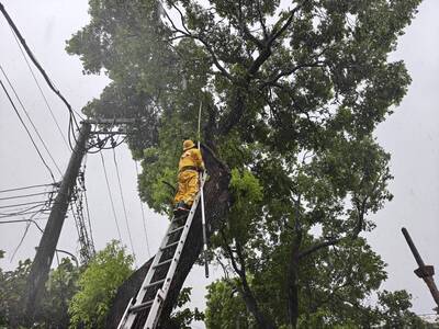 巴威來襲士林、北投、淡水停電逾3000戶 台電緊急派員搶修
