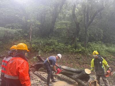 巴威來襲北市217件災情無人傷困 公園處動員379人救災