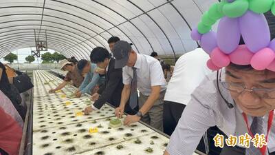顛覆刻板印象！穿旗袍、西裝進溫室種「水耕蔬菜」