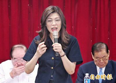 鄭麗文：國民黨已從羊群變獅群 盼團結拚年底勝選、2028年邁向執政