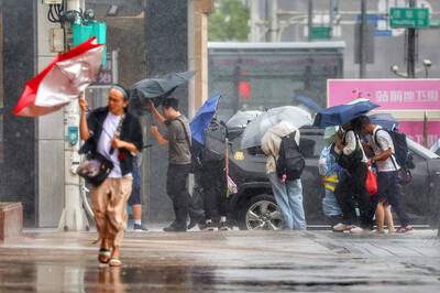 《TAIPEI TIMES》 Dolphin damage limited; lunar high tides arriving
