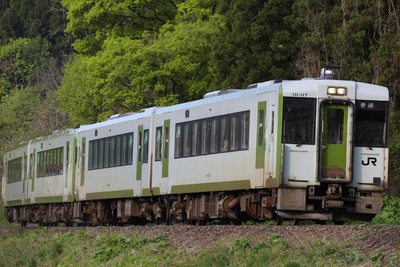 日本岩手列車撞到2頭熊！部分班次停駛